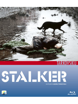 Сталкер (1979) (Blu-ray) 