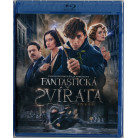 Фантастические твари и где они обитают (Blu-Ray)